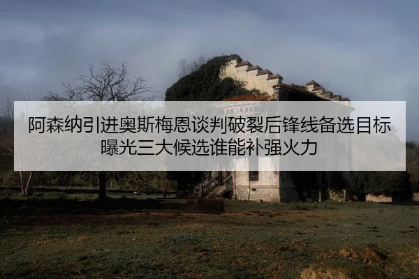 a-sen-na-yin-jin-ao-si-mei-en-tan-pan-po-lie-hou-feng-xian-bei-xuan-mu-biao-bao-guang-san-da-hou-xuan-shui-neng-bu-2-830.jpg